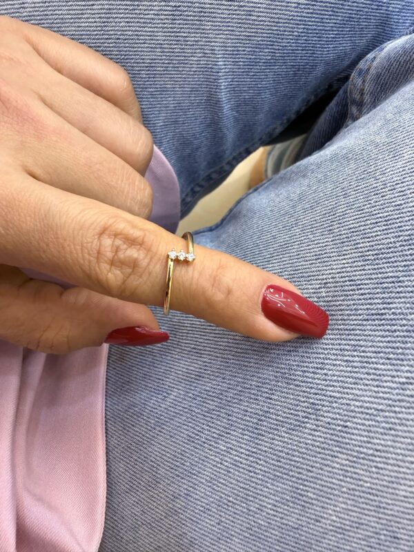 Anillo Circones x3 - Imagen 2